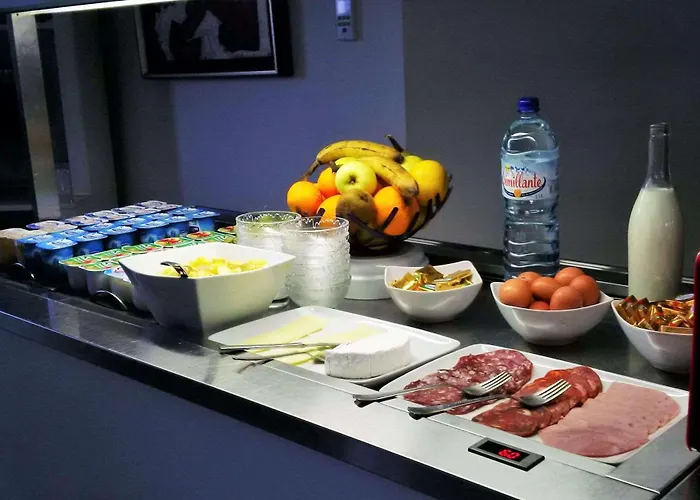 凯雷亚德珀皮格兰苏酒店 酒店 佩皮尼昂