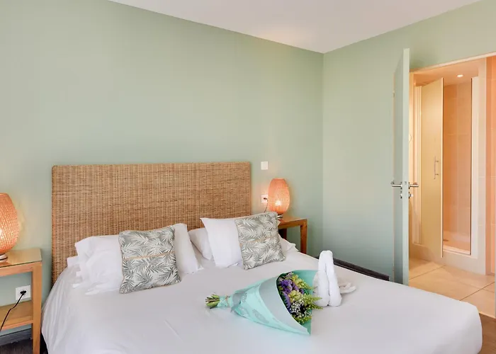 凯雷亚德珀皮格兰苏酒店 佩皮尼昂