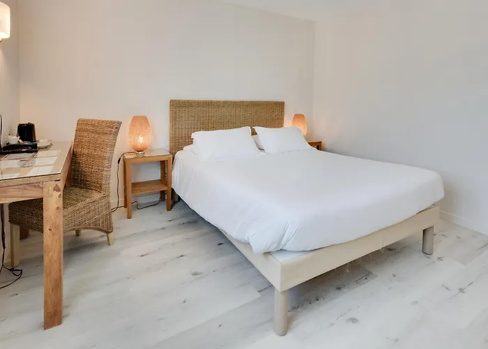 凯雷亚德珀皮格兰苏酒店 酒店 佩皮尼昂